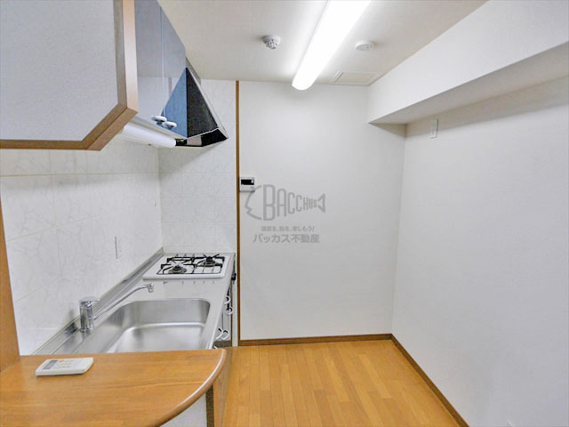 KAISEI大手前 Ctype 1K 32.86㎡│天満橋・谷町四丁目