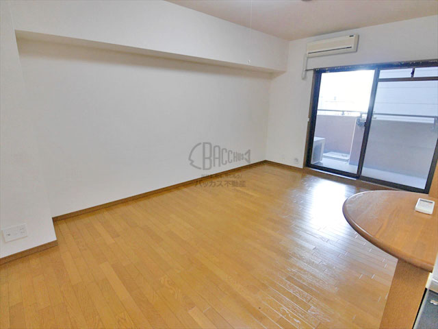 KAISEI大手前 Ctype 1K 32.86㎡│天満橋・谷町四丁目