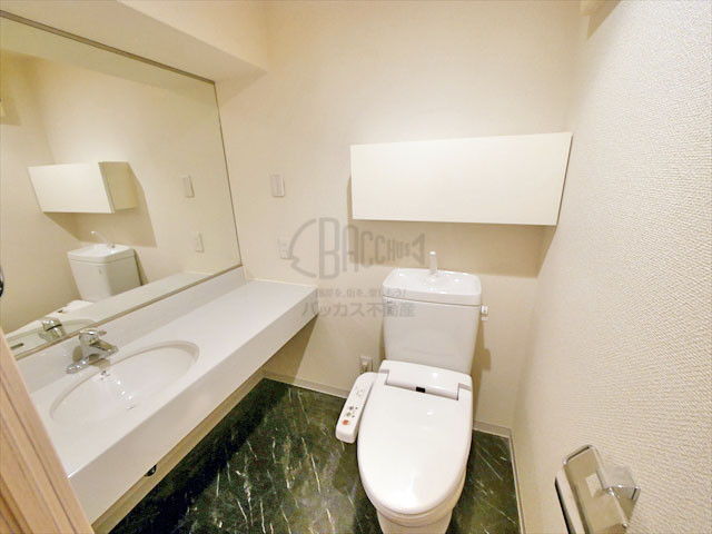 リトルリバー本町橋 Ctype 1R 30.41㎡