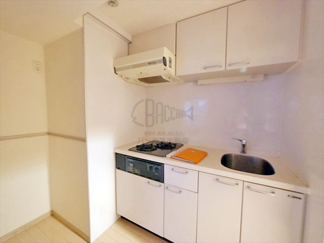 リトルリバー本町橋 Ctype 1R 30.41㎡