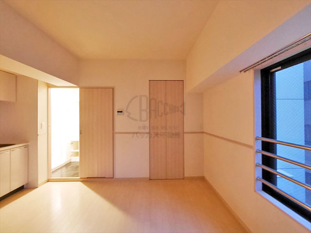 リトルリバー本町橋 Ctype 1R 30.41㎡