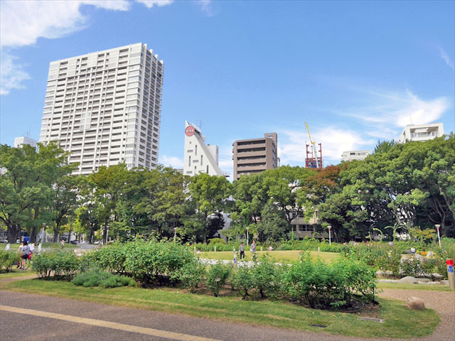 グランドメゾン京町堀タワー 2LDK 65.74㎡