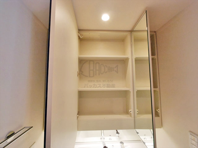 グランドメゾン京町堀タワー 2LDK 65.74㎡