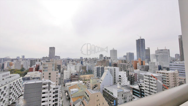 グランドメゾン京町堀タワー 2LDK 65.74㎡