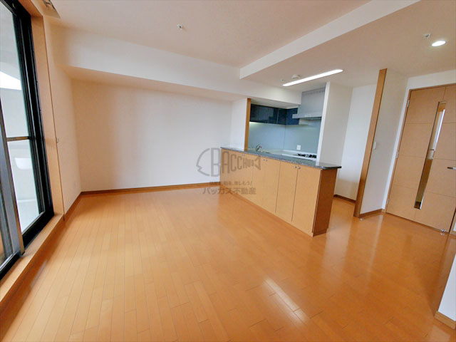 リーガルタワー大阪 1LDK 52.93㎡
