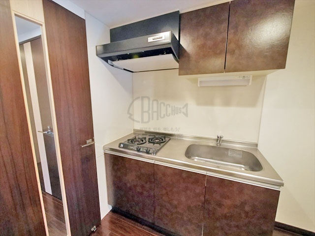 S-RESIDENCE淀屋橋 Atype 1LDK 41.70㎡のシステムキッチン