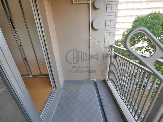 アリス・マナーガーデン谷町 1DK 30.41㎡