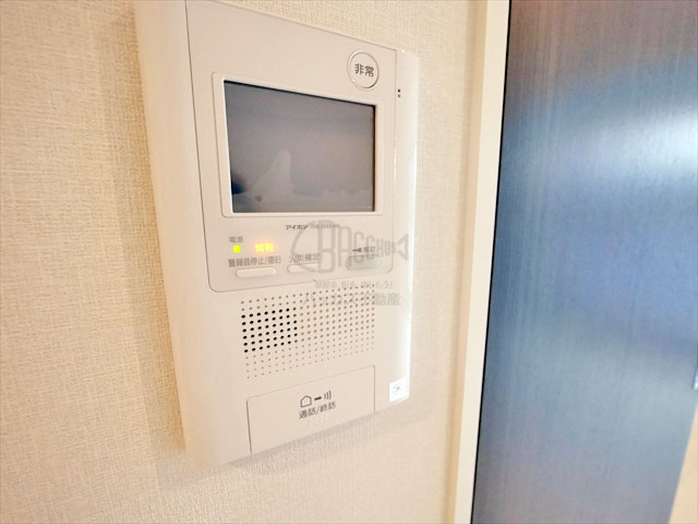 ルーエ天満橋 1DK 30.67㎡