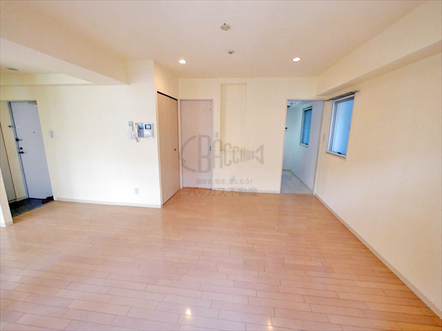 アライアンス船場 1K 39.51㎡│堺筋本町・本町