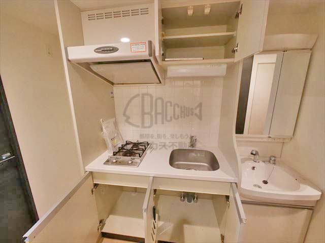 アドバンス大阪城レガーレ Btype 1K 21.00㎡