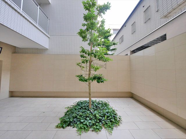 ドゥーエ谷町