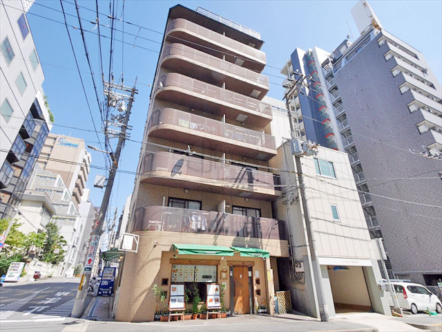 ソレイユ白鳩