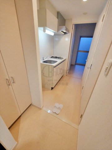アドバンス上町台プレジール 1K 21.86㎡
