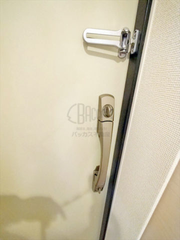 アドバンス上町台プレジール 1K 23.49㎡