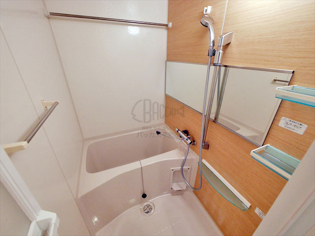 アドバンス上町台ラシュレ B2type 1K 23.37㎡