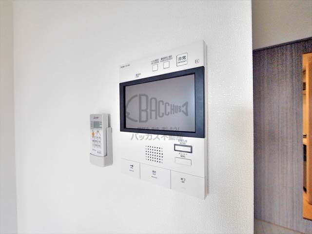 La Douceur西天満(ラ ドゥセール西天満) B1type 1K 24.79㎡