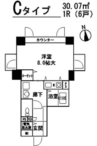 テラスレジデンス四ツ橋 Ctype 1R 30.07㎡