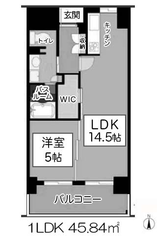 スクリブコート天神南 Btype 1LDK+WIC 45.84㎡