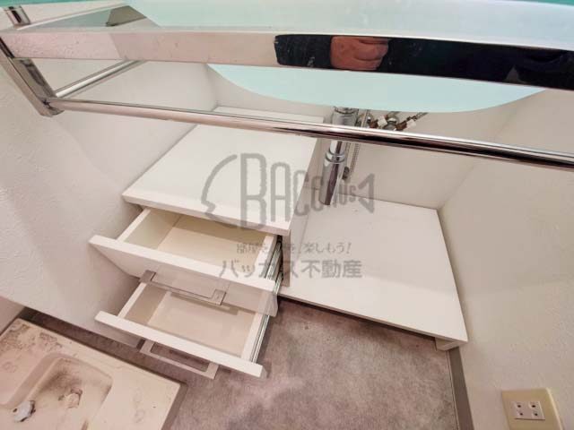 プレサンスNEO中之島公園 Atype 1DK 32.43㎡のシンク下収納