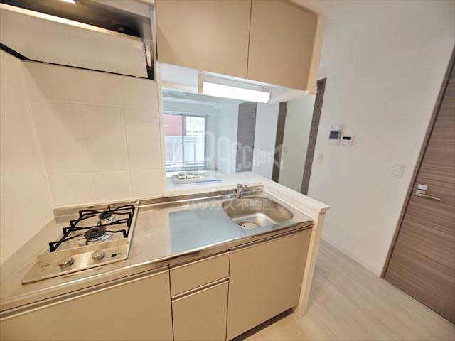 アプリーレ中之島 Ctype 1SLDK 49.00㎡のカウンターキッチン