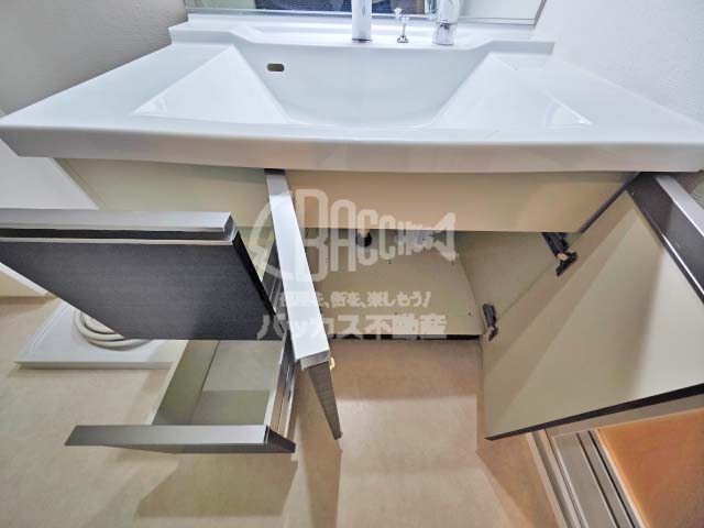 ロイヤルパークス桃坂 Mtype 1LDK 55.81㎡の洗面台収納