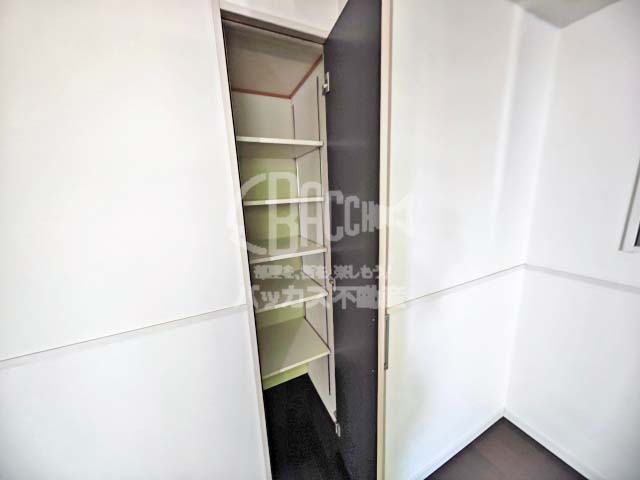 ロイヤルパークス桃坂 Mtype 1LDK 55.81㎡の収納