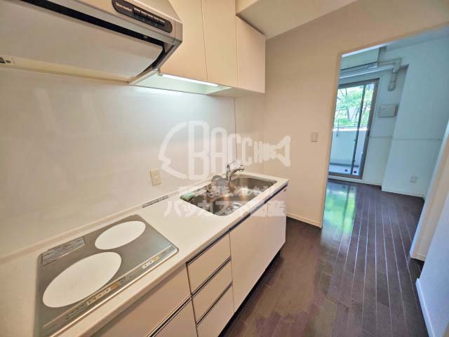 ロイヤルパークス桃坂 Mtype 1LDK 55.81㎡のシステムキッチン