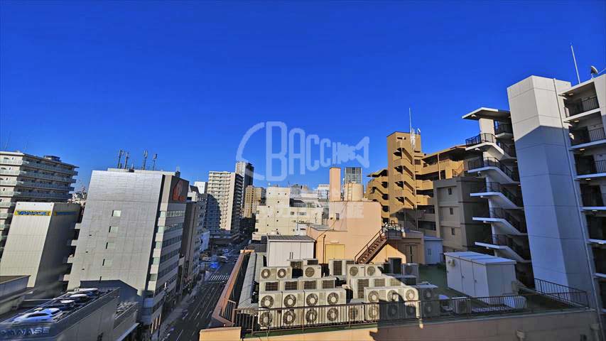 クレストコート靭公園ザ・クラス D2type 1LDK+WIC 34.16㎡